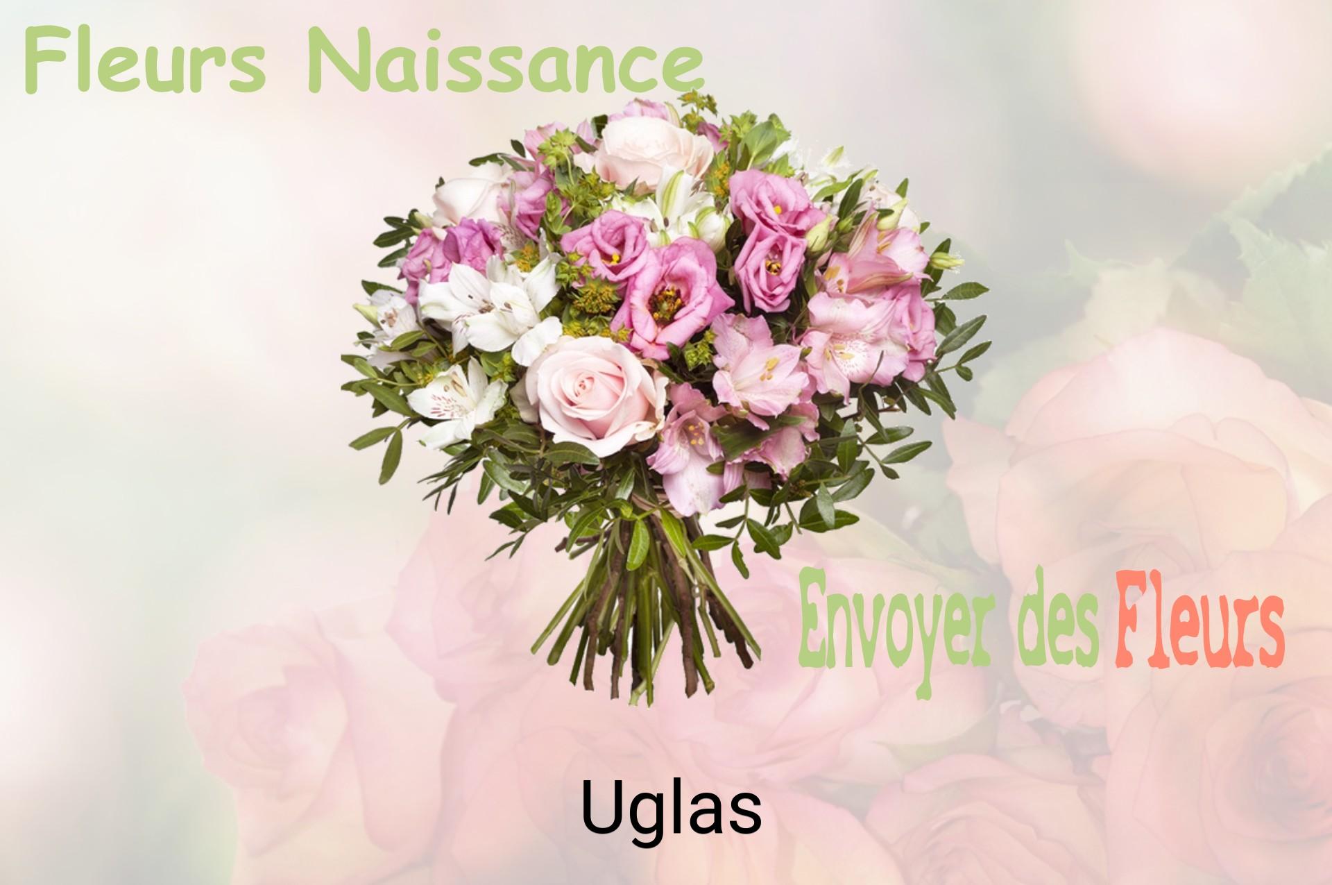Bouquet de fleurs de naissance livré à Uglas